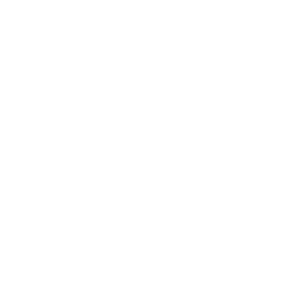 Logo Dynamic Club Roanne
