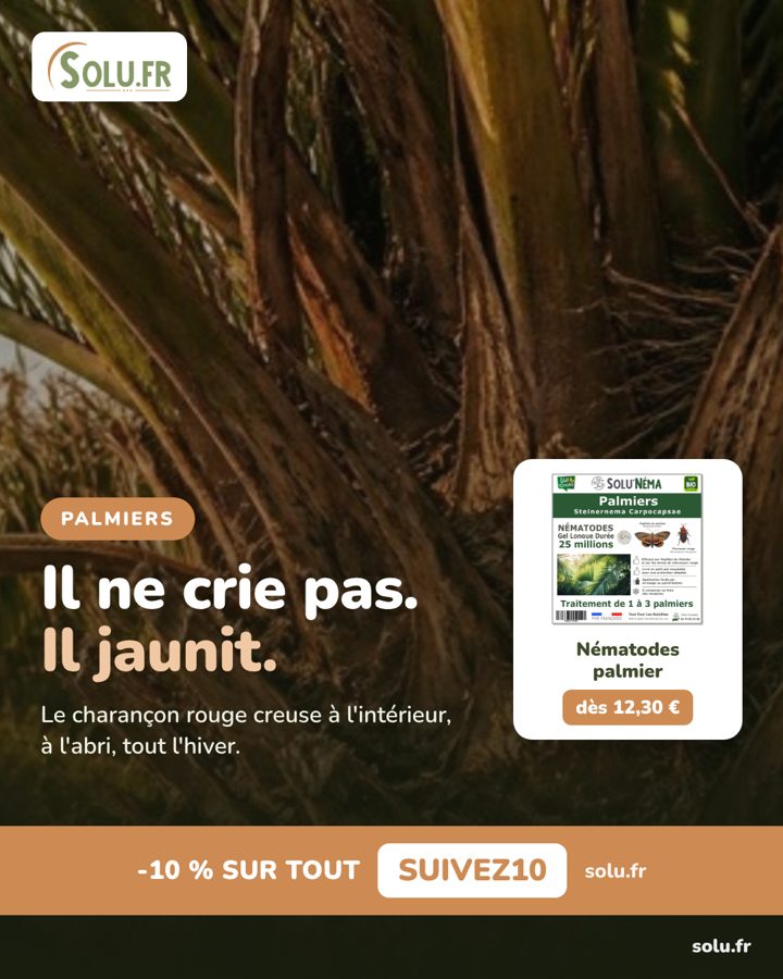 Publication réalisée par C2 Projet Web pour Solu.fr