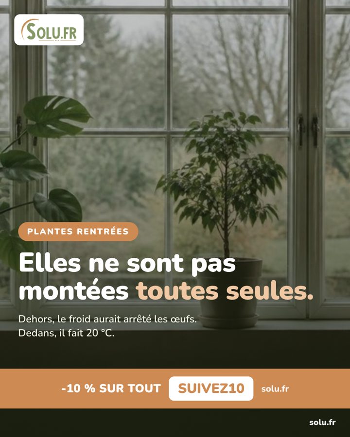 Publication réalisée par C2 Projet Web pour Solu.fr