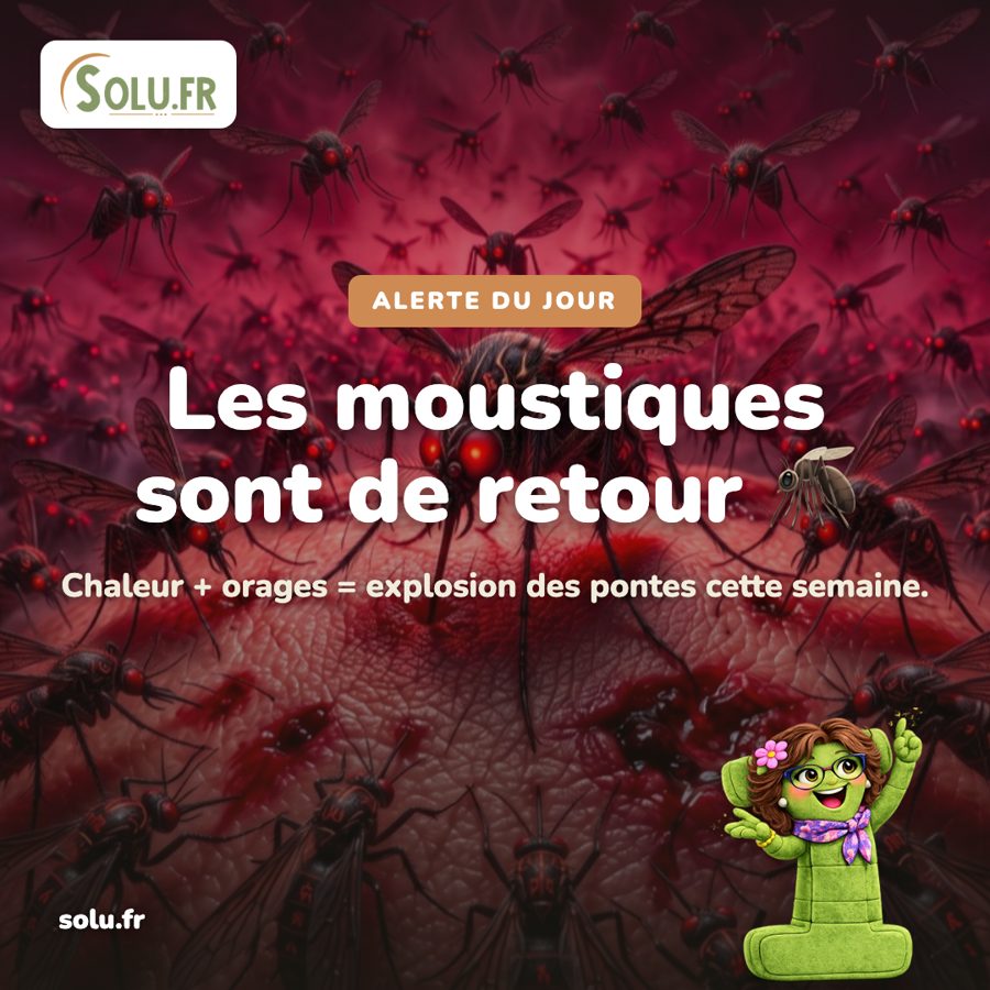 Solu.fr