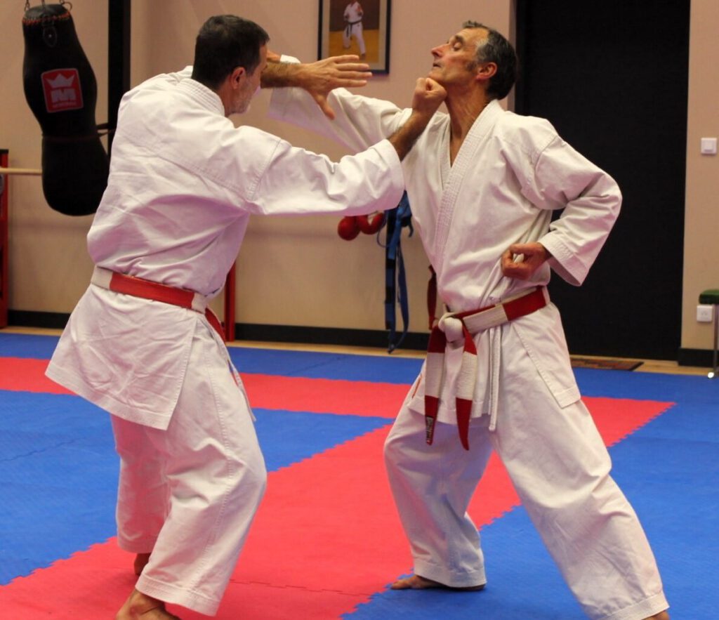 Dynamic Club Roanne